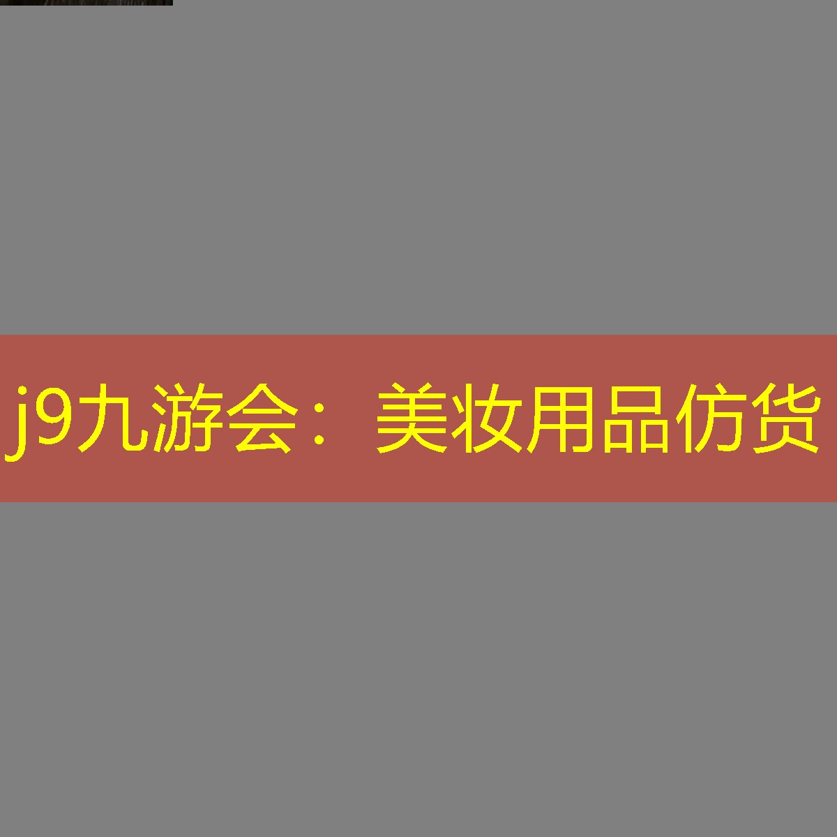 j9九游会：美妆用品仿货
